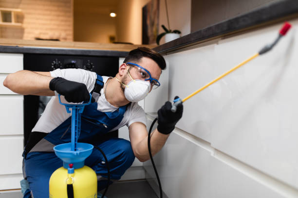 Best Local Pest Control Services  in Baxter, TN