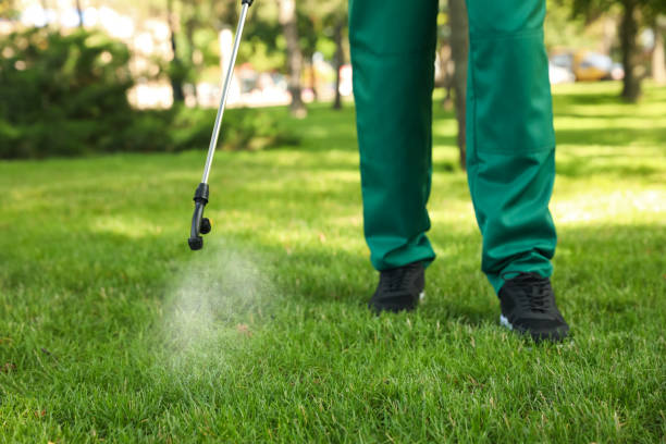 Best Pest Control for Businesses  in Baxter, TN