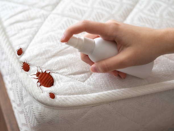 Best Wasp Removal Services  in Baxter, TN